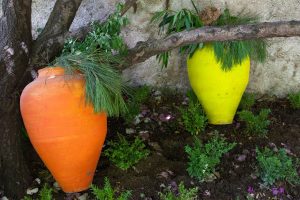 Succulentes et plantes grasses : des alliées sans entretien