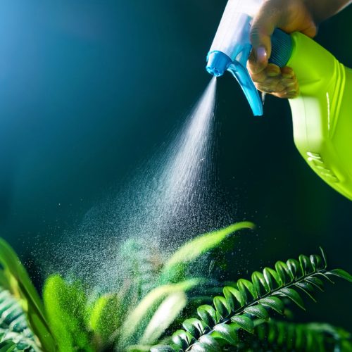 Anti puceron naturel liquide vaisselle : une solution redoutable